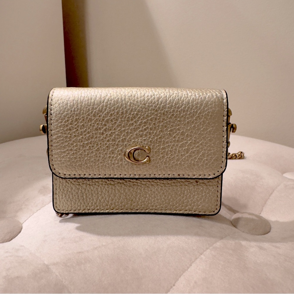 Coach Mini Wallet on Chain